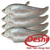 Deshi Foly Fish