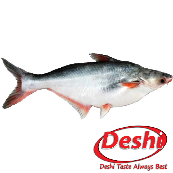 Deshi Pangas