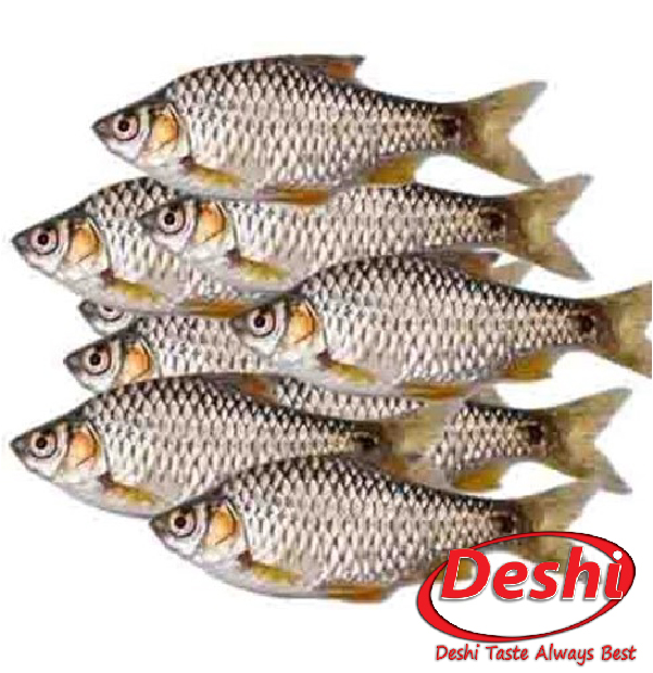 Deshi Puti