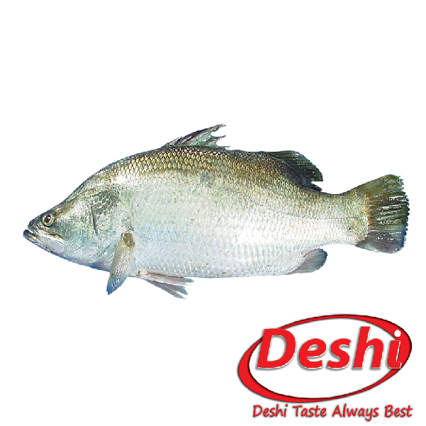 Koral Fish Whole