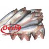 Pabda Fish deshi