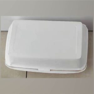 Disposable meal box-1