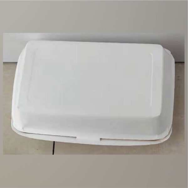 Disposable meal box-2