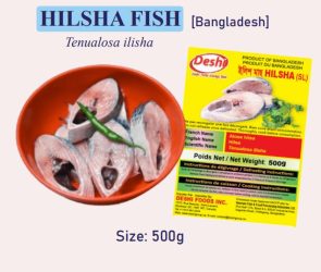 Hilsha